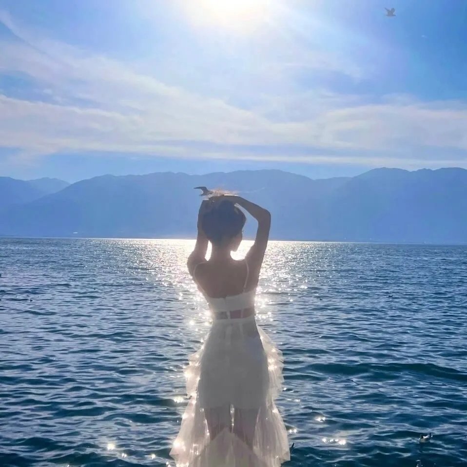 功夫传人之龙拳小子